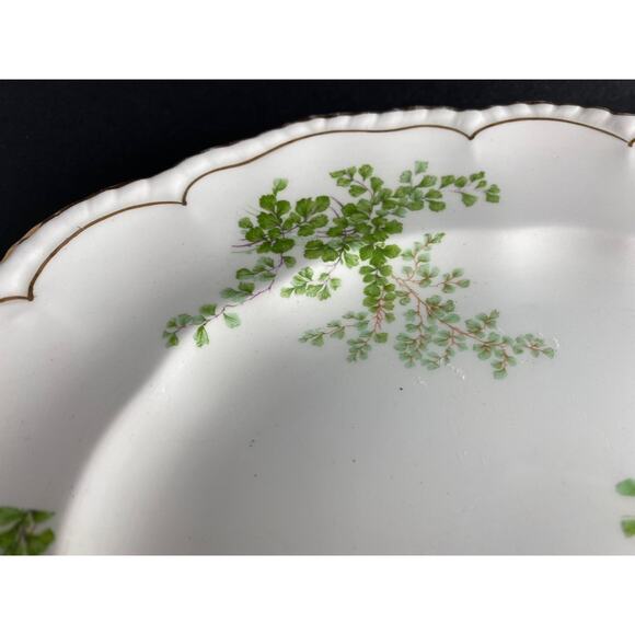 Antique John Maddock and Sons Shamrock Platter|Late 1800s Royal Vitreous England - Picture 4 of 6